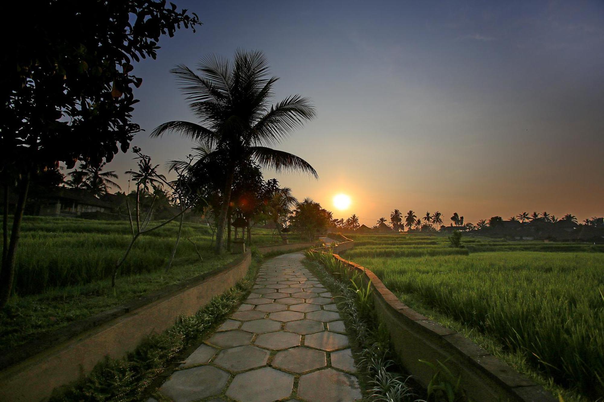 Wapa di Ume Ubud - CHSE Certified Exterior foto